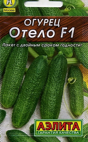   F1