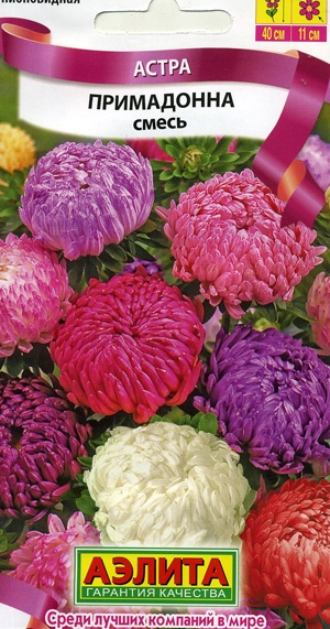 Астра Примадонна, смесь